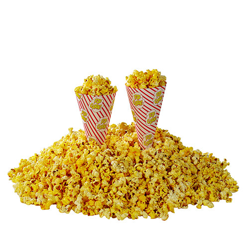 CONO DE PAPEL GM X 100 UN